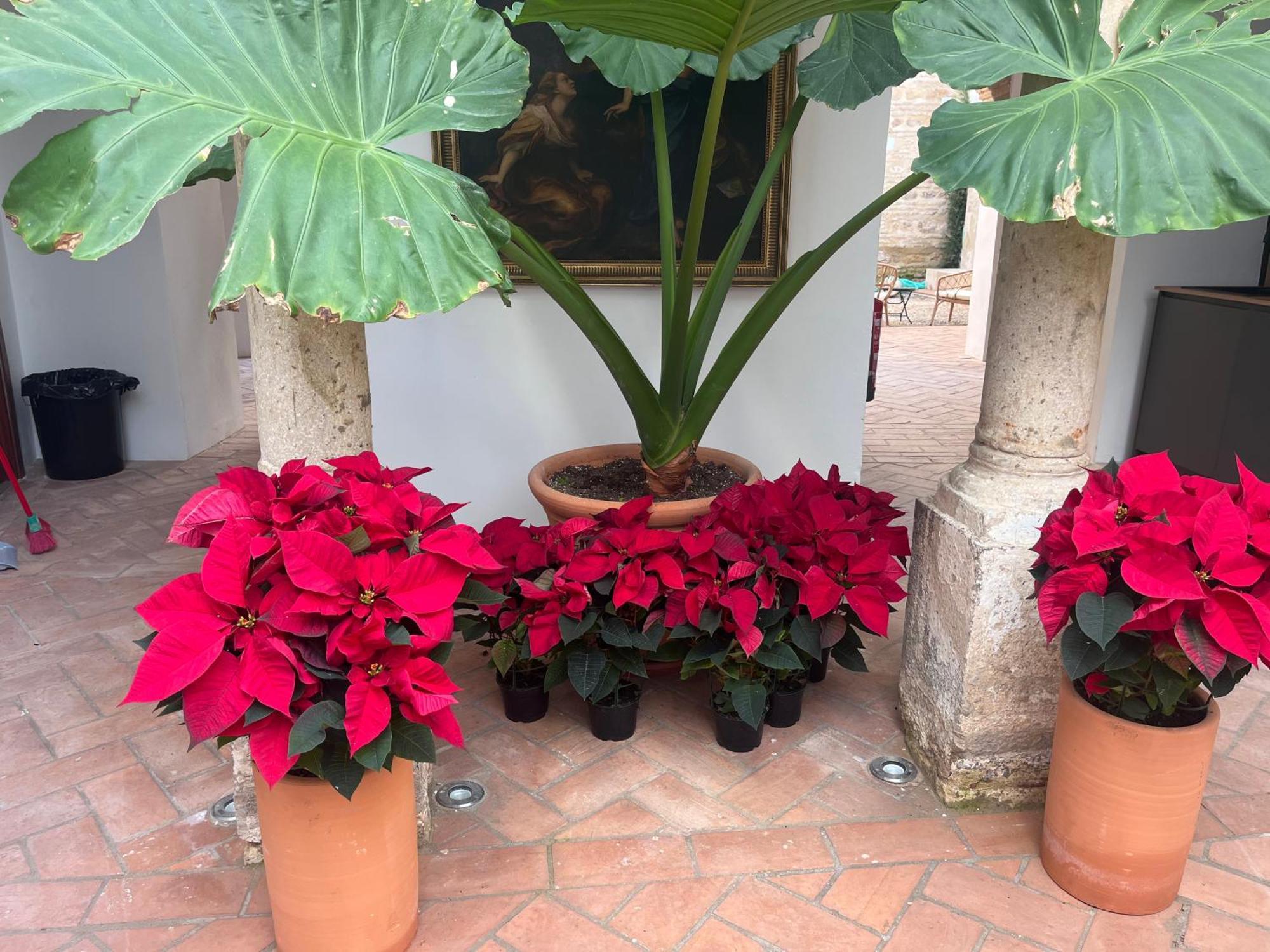 Apartamento Corazon 23 Córdoba
